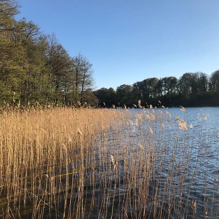 Lakehouse Nakielno Βίλα Wałcz Εξωτερικό φωτογραφία